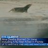 Video: What Is This Sad Creature Walking Through Irene-Flooded NYC?